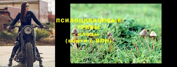 мет Сатка