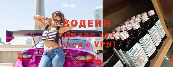 твердый Карпинск