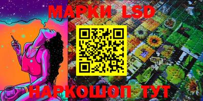 индика Шелехов