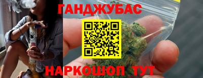 индика Шелехов