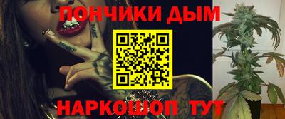 индика Шелехов