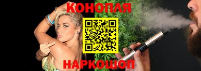 индика Шелехов