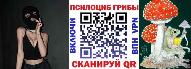наркошоп  Бердск  Псилоцибиновые грибы MAGIC MUSHROOMS 