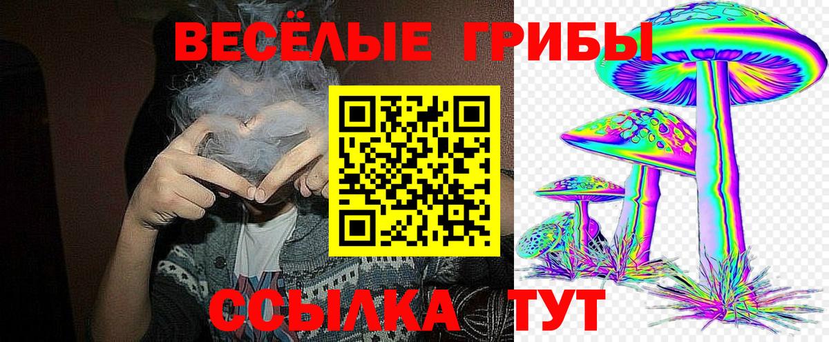 Бердск  Псилоцибиновые грибы мицелий  Вход с VPN 