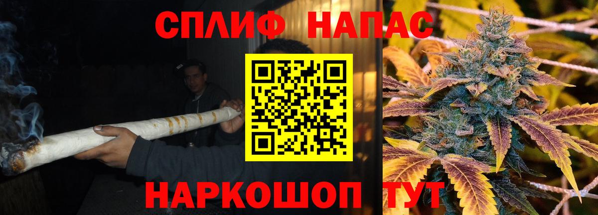 Конопля семена  Канабис Ganja  Вход с VPN  Бердск  Бошки Шишки гибрид 